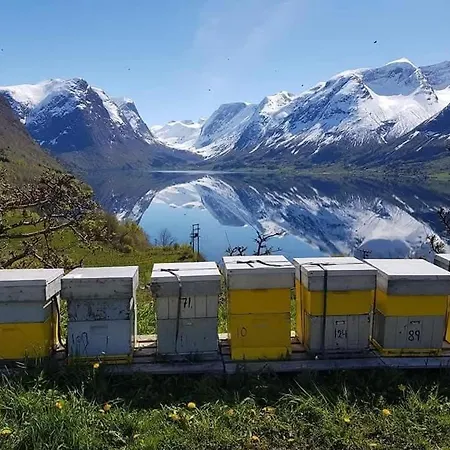 In Апартаменты *