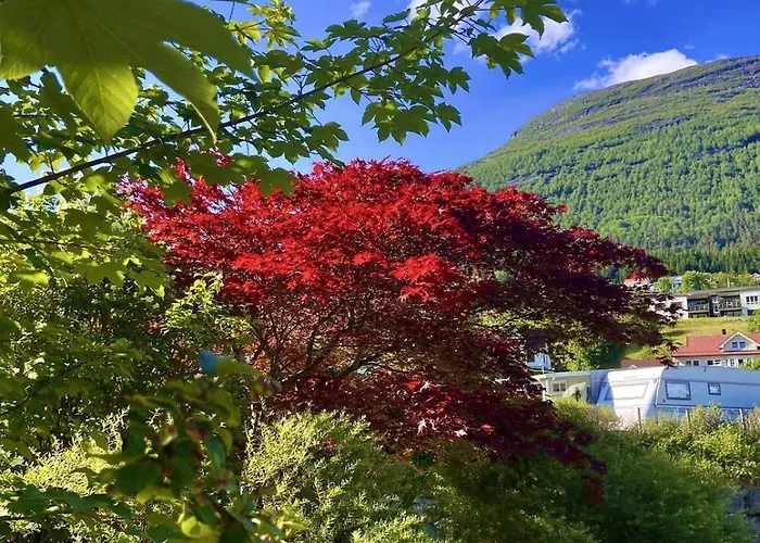 Апартаменты In *